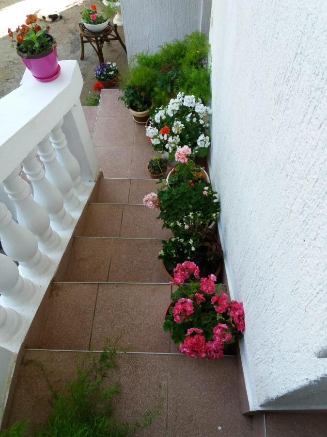 Apartman Sunce Raslina Kültér fotó