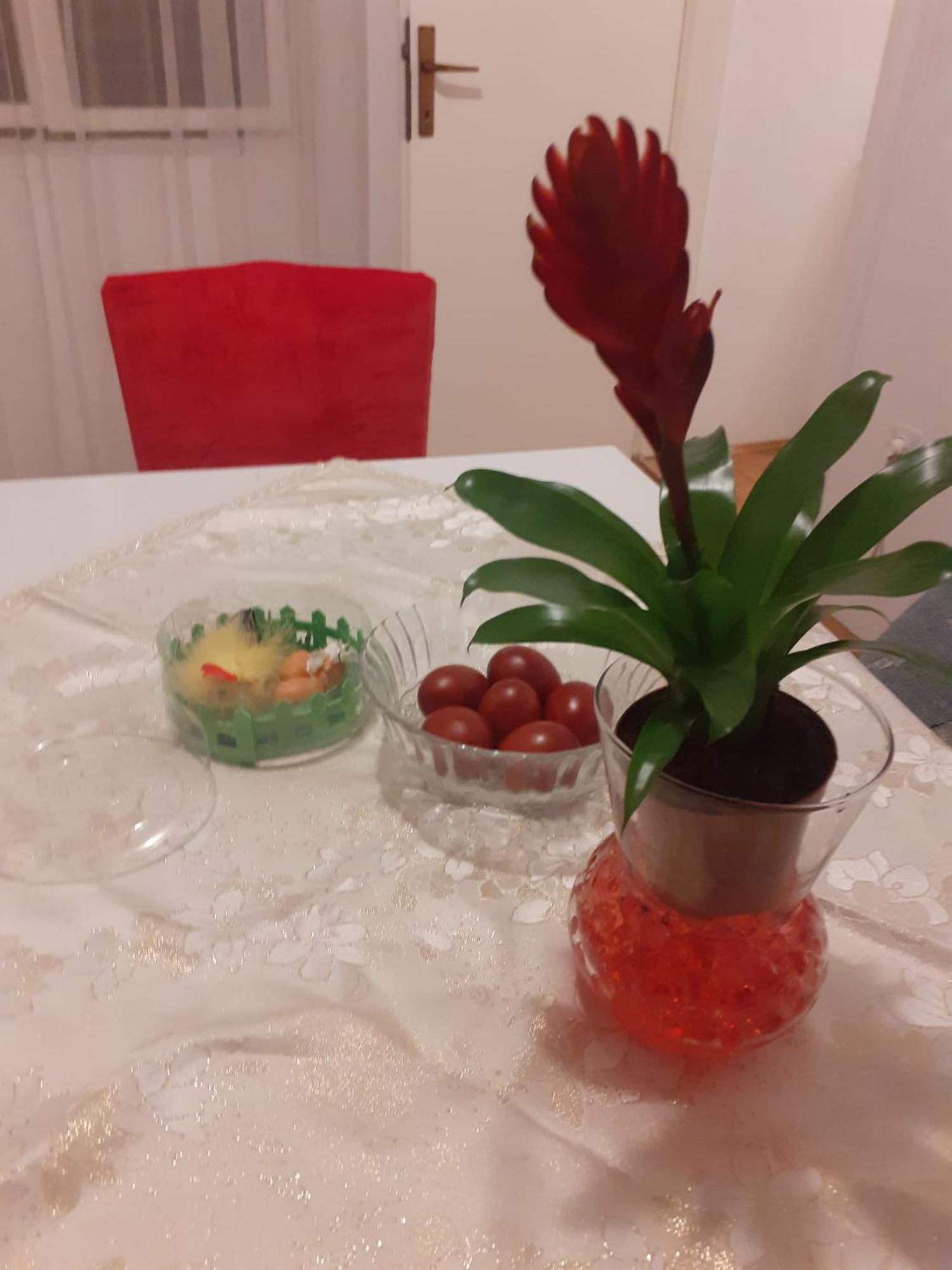 Apartman Sunce Raslina Kültér fotó