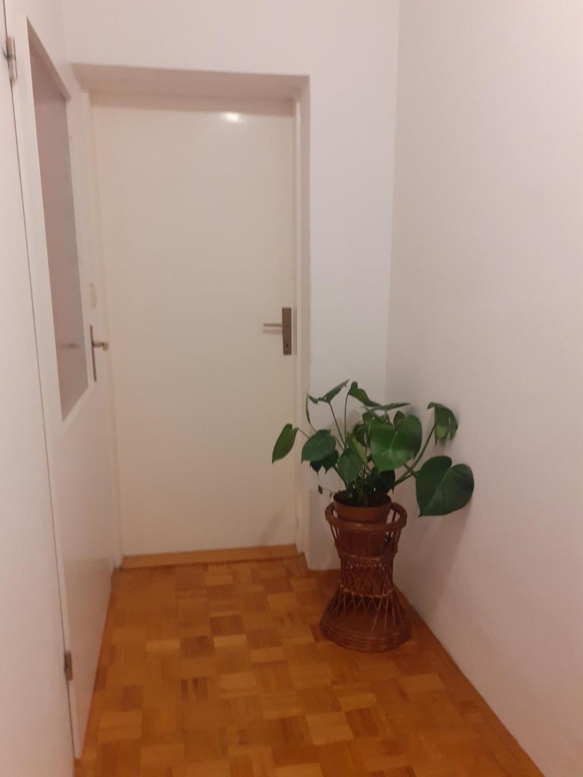 Apartman Sunce Raslina Kültér fotó
