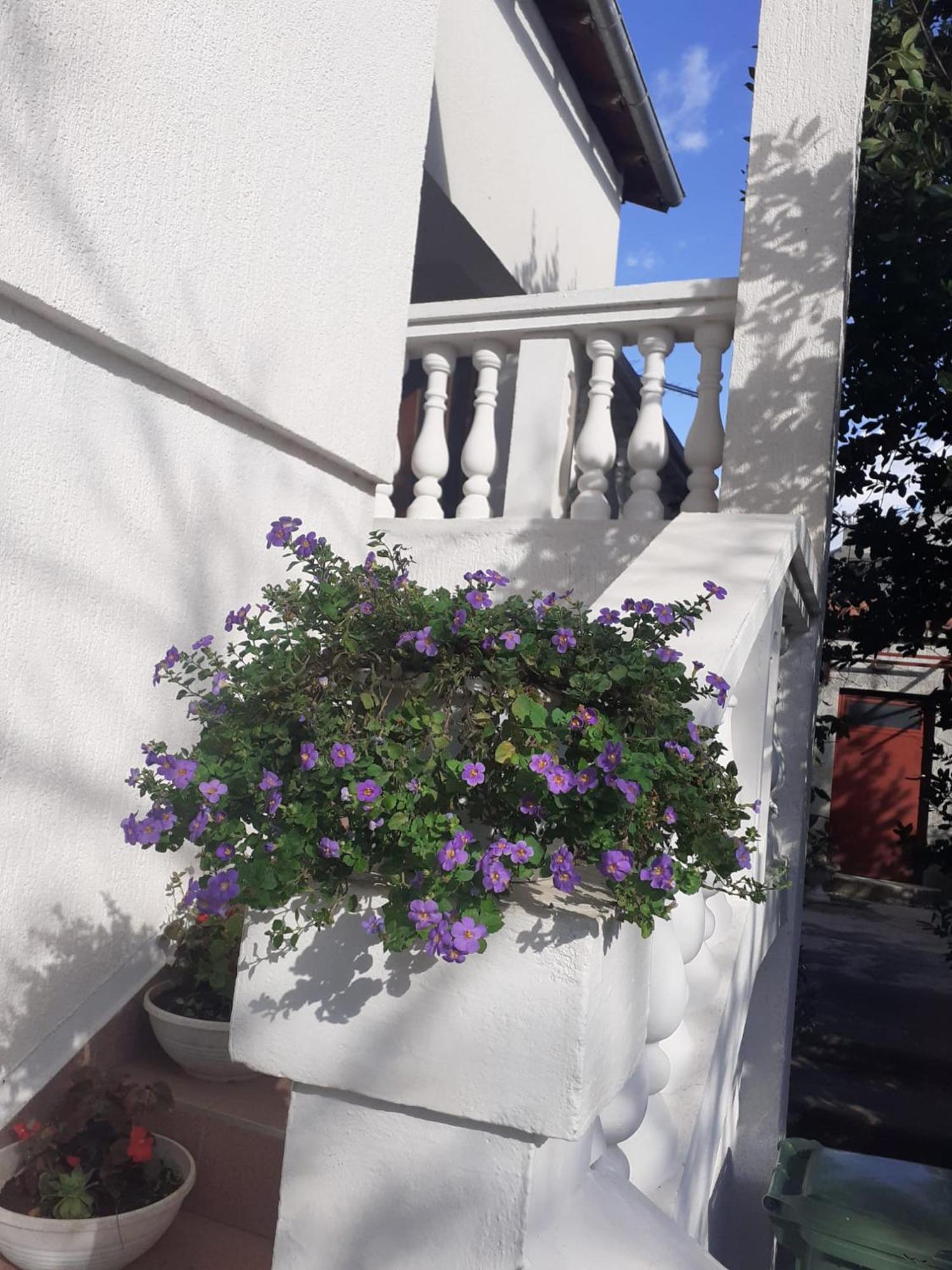 Apartman Sunce Raslina Kültér fotó
