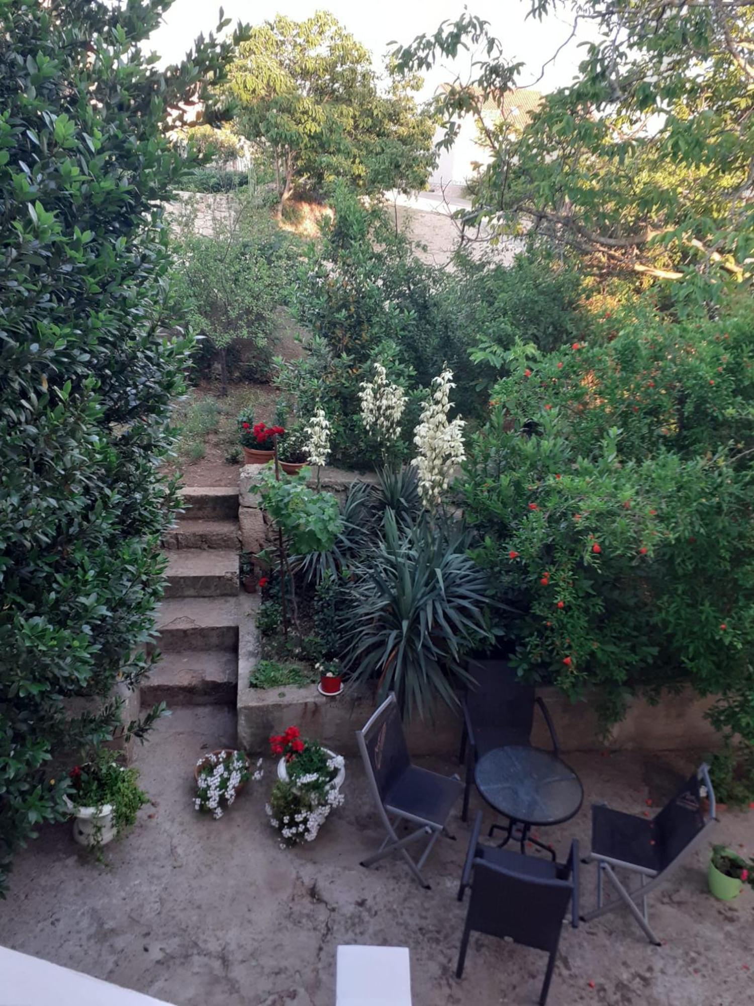 Apartman Sunce Raslina Kültér fotó